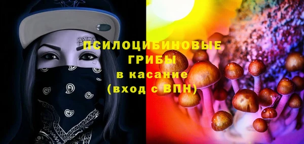 apvp Осташков