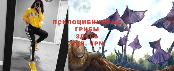 a pvp Семёнов